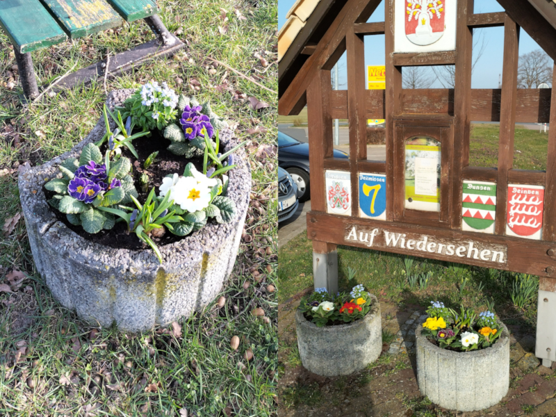 Bepflanzen der Blumenk&uuml;bel