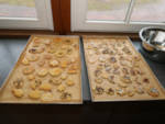 Keksebacken